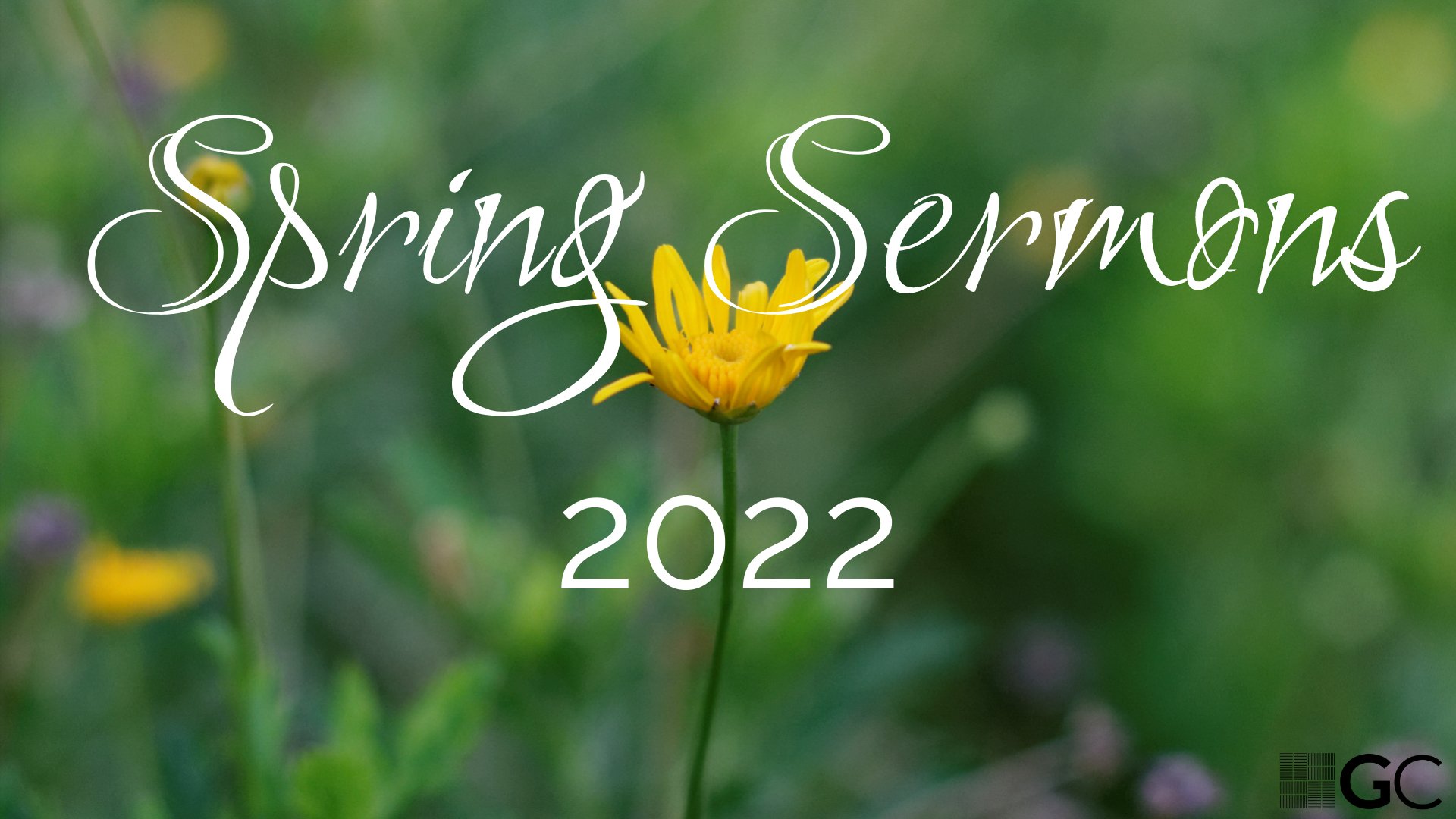 spring 2022.jpg