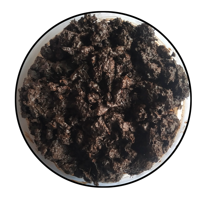 Composting "NEW" Nest Baby Diapers