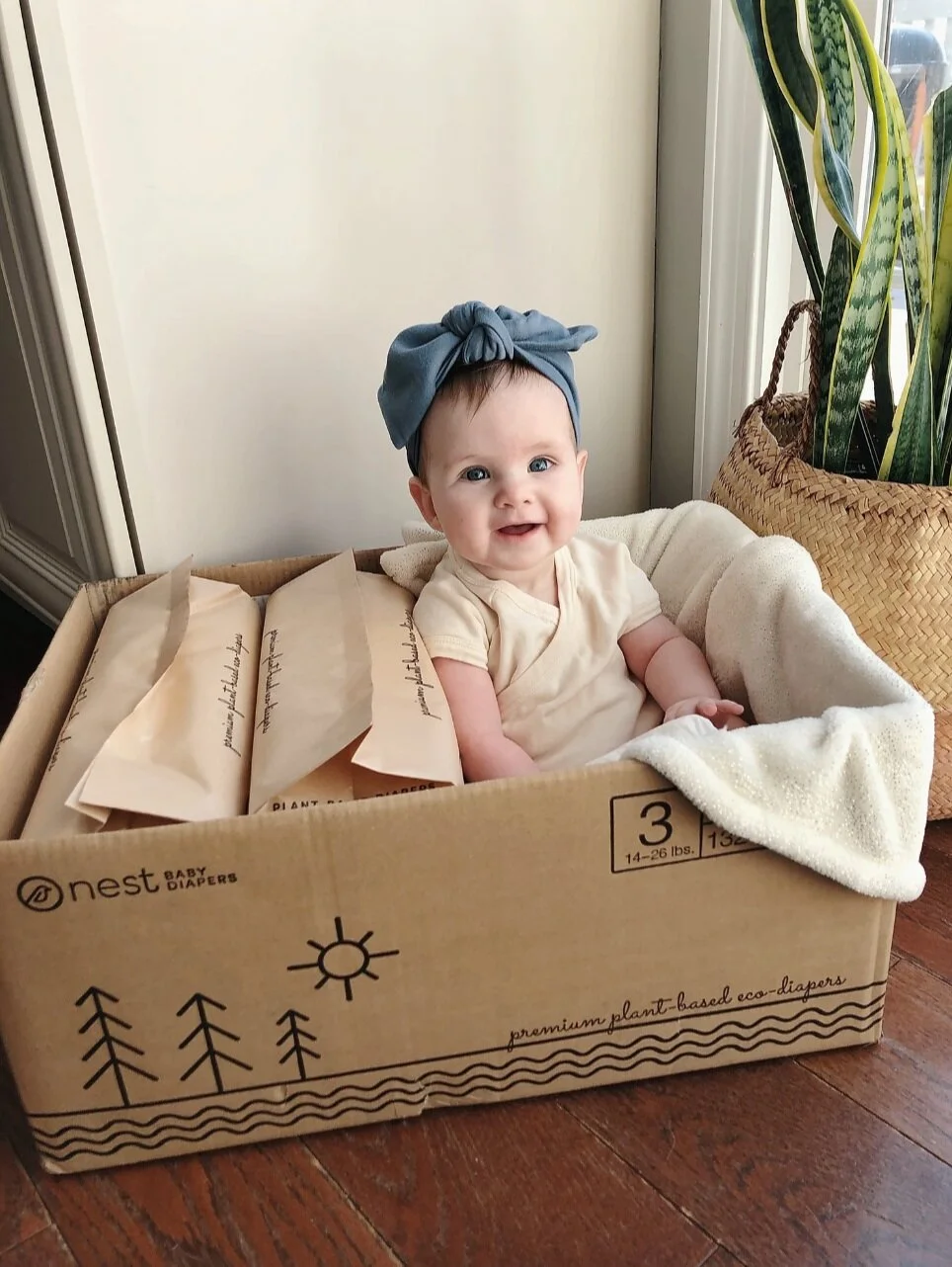 Why We Made The Switch To Nest Diapers "NEW" Nest Baby Diapers