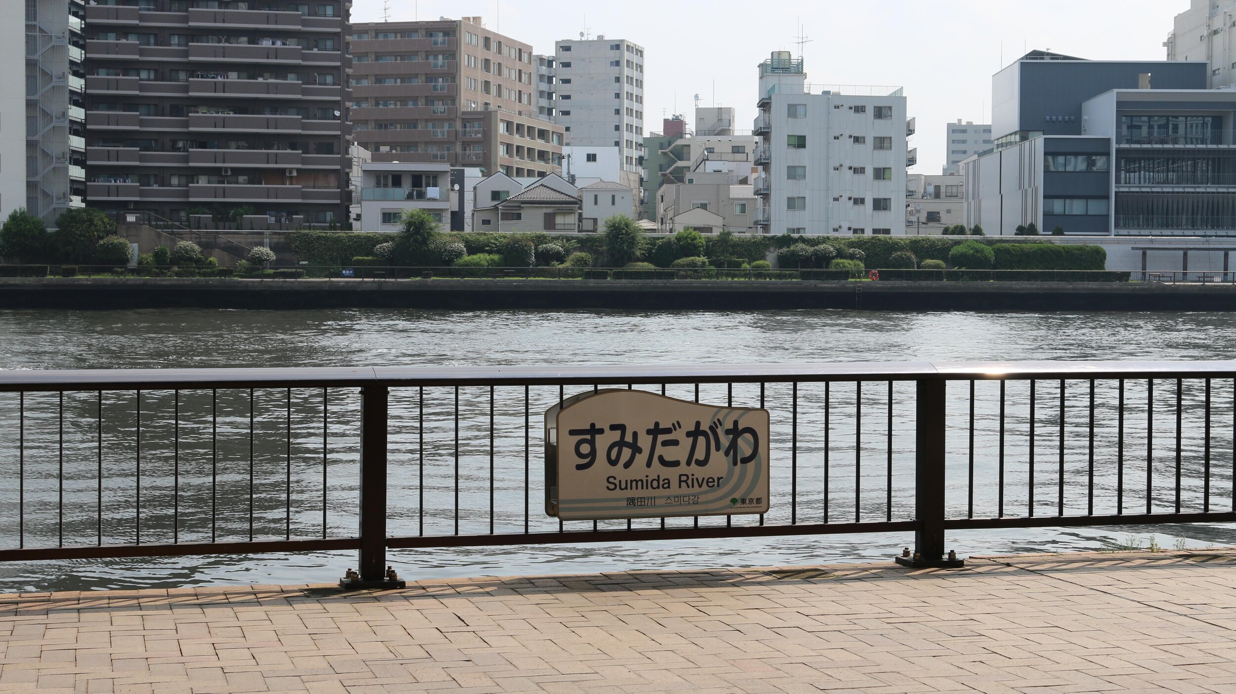 IMG_0604.JPG