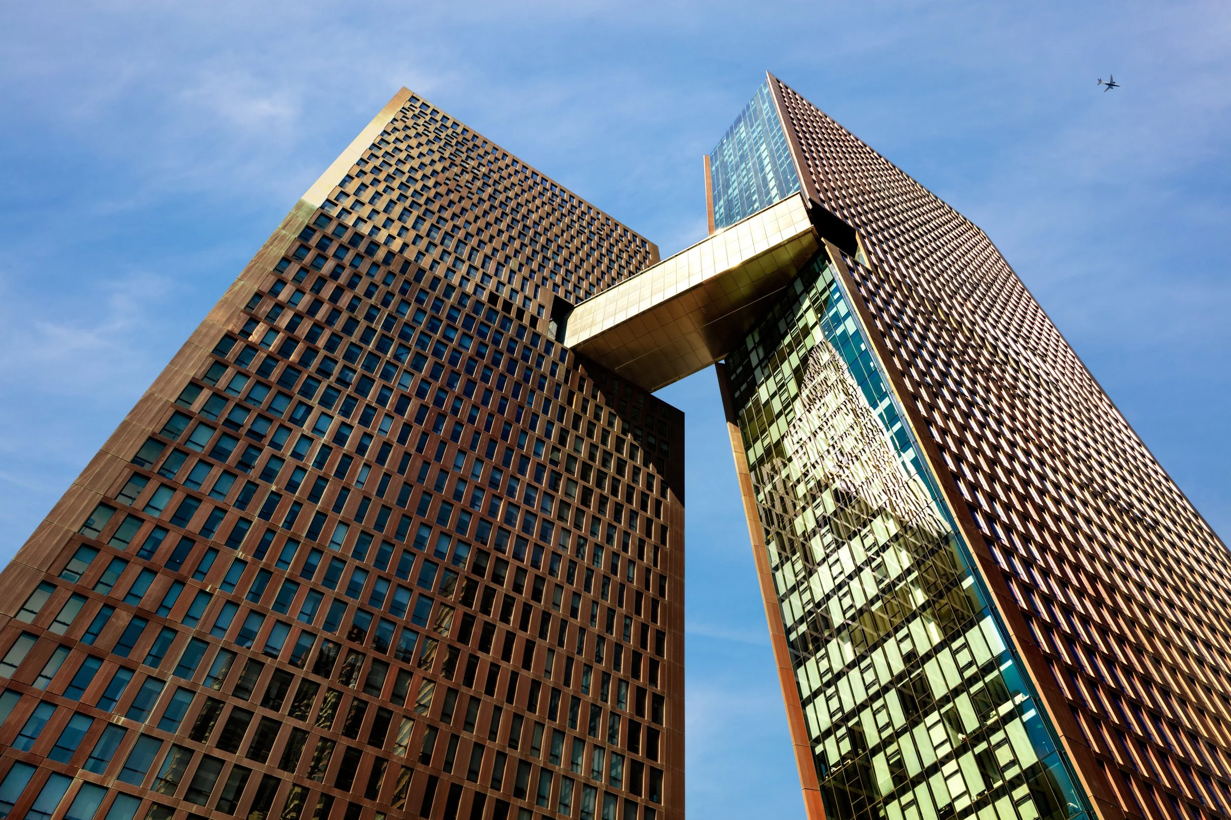 american_copper-2.jpg