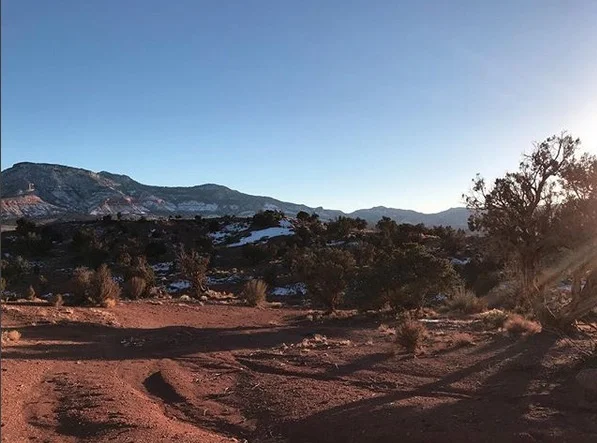 landscape copy.jpg