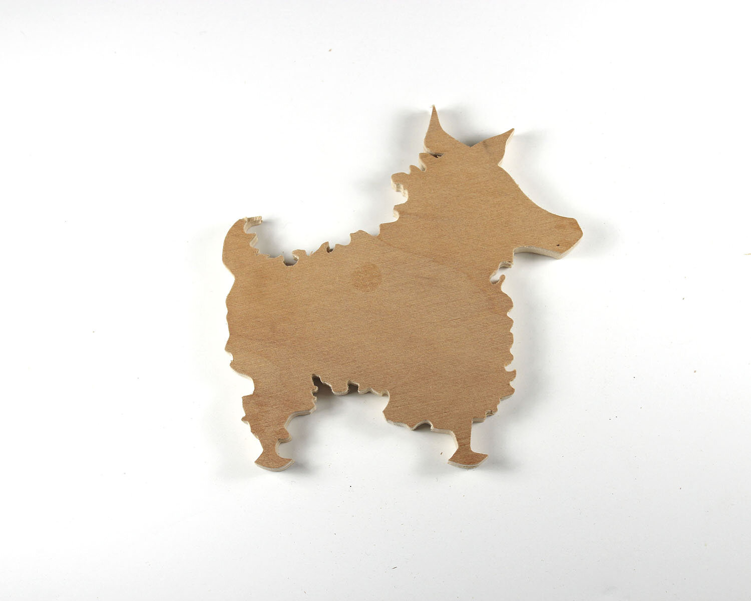 2 January 2 Sheep.JPG