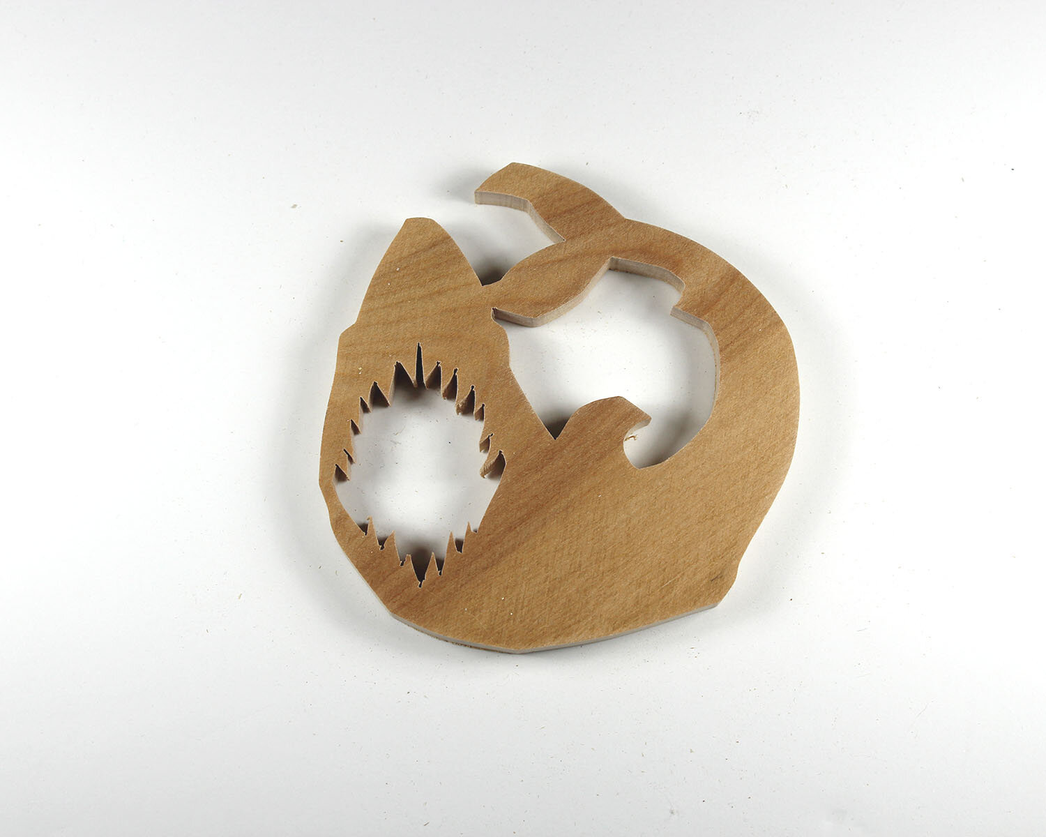 #5 January 5- Great White Shark