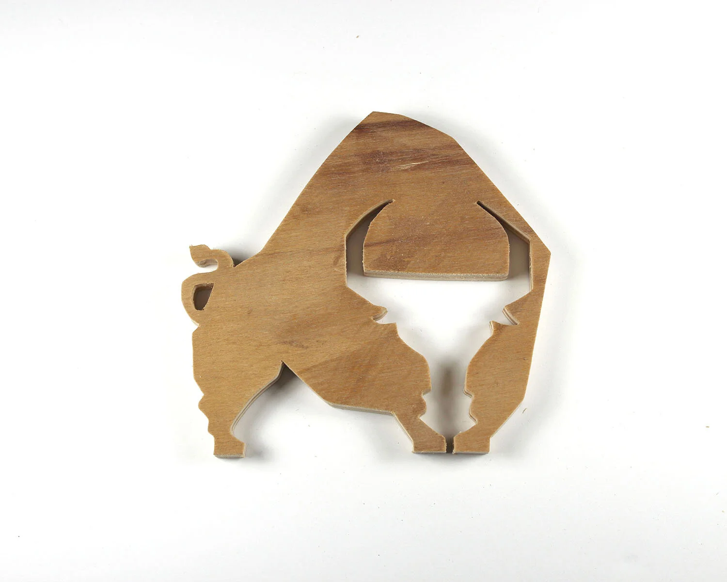 3 January 3 Bull.JPG