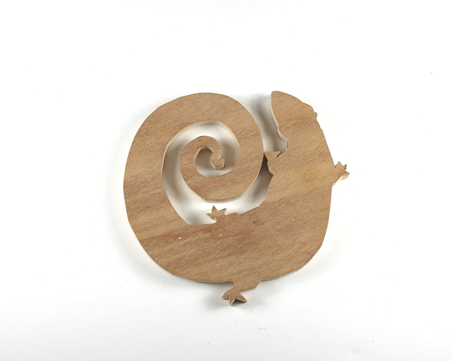 #4 January 4- Lizard