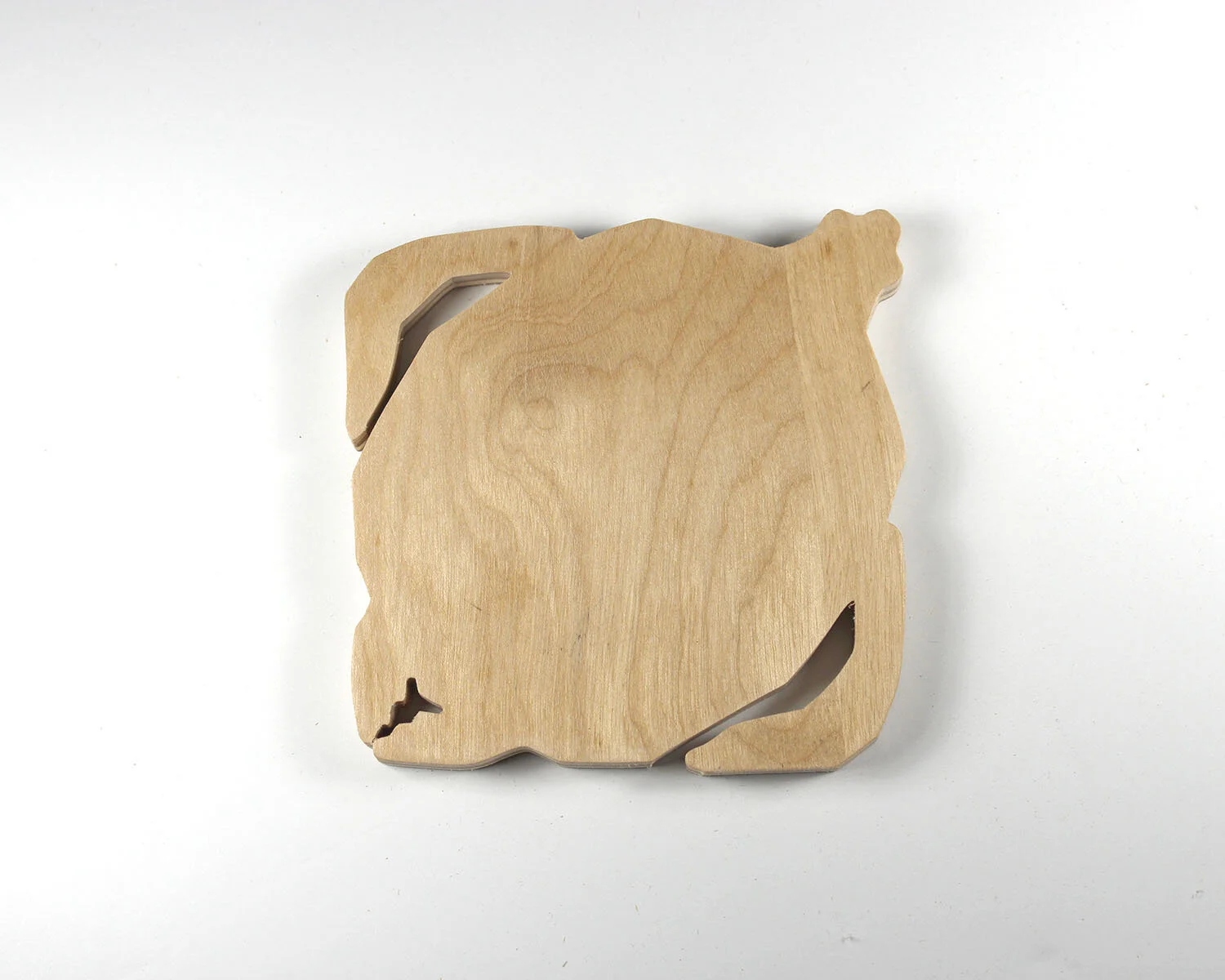 6 January 6 Sea Turtle.JPG