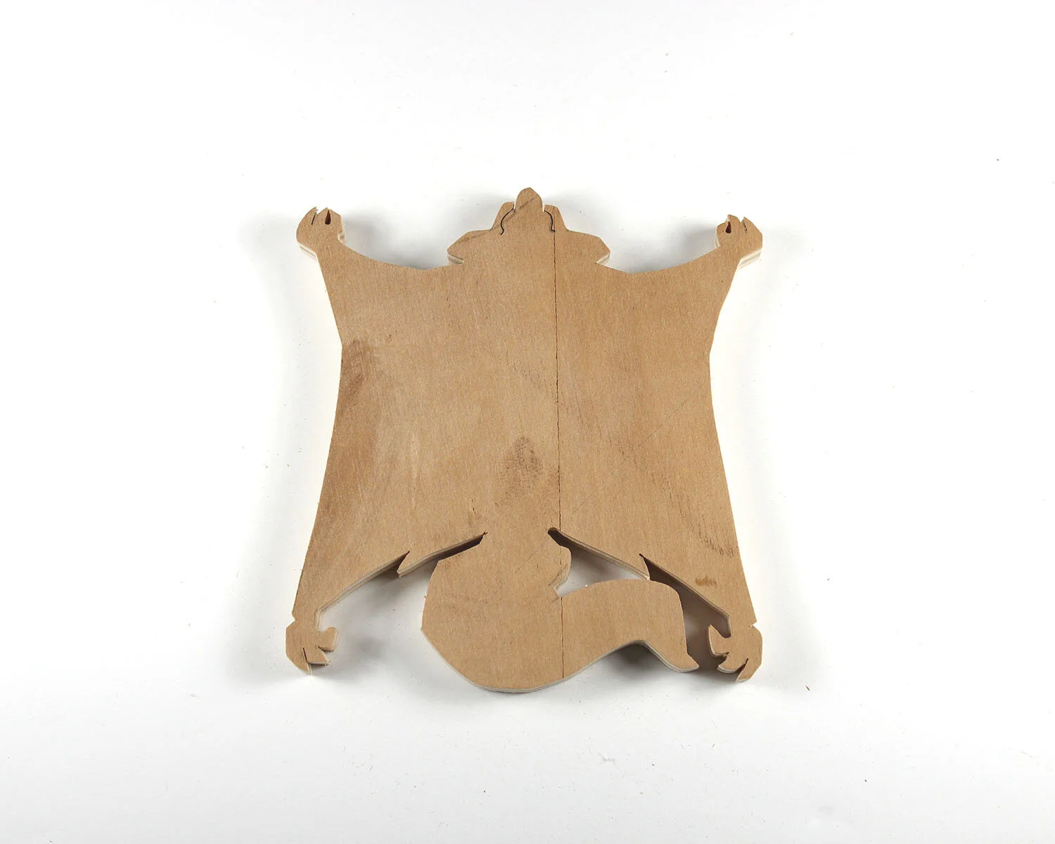 7 January 7 Flying Squirrel.JPG