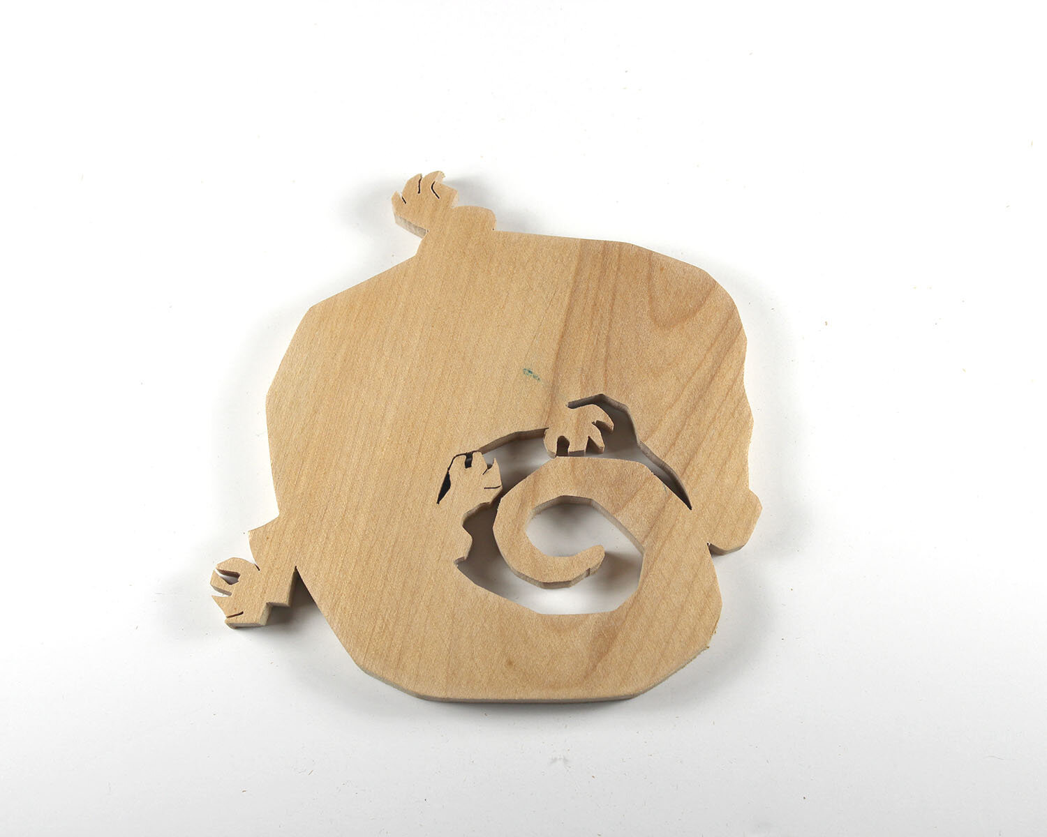 #11 January 11- Aligator