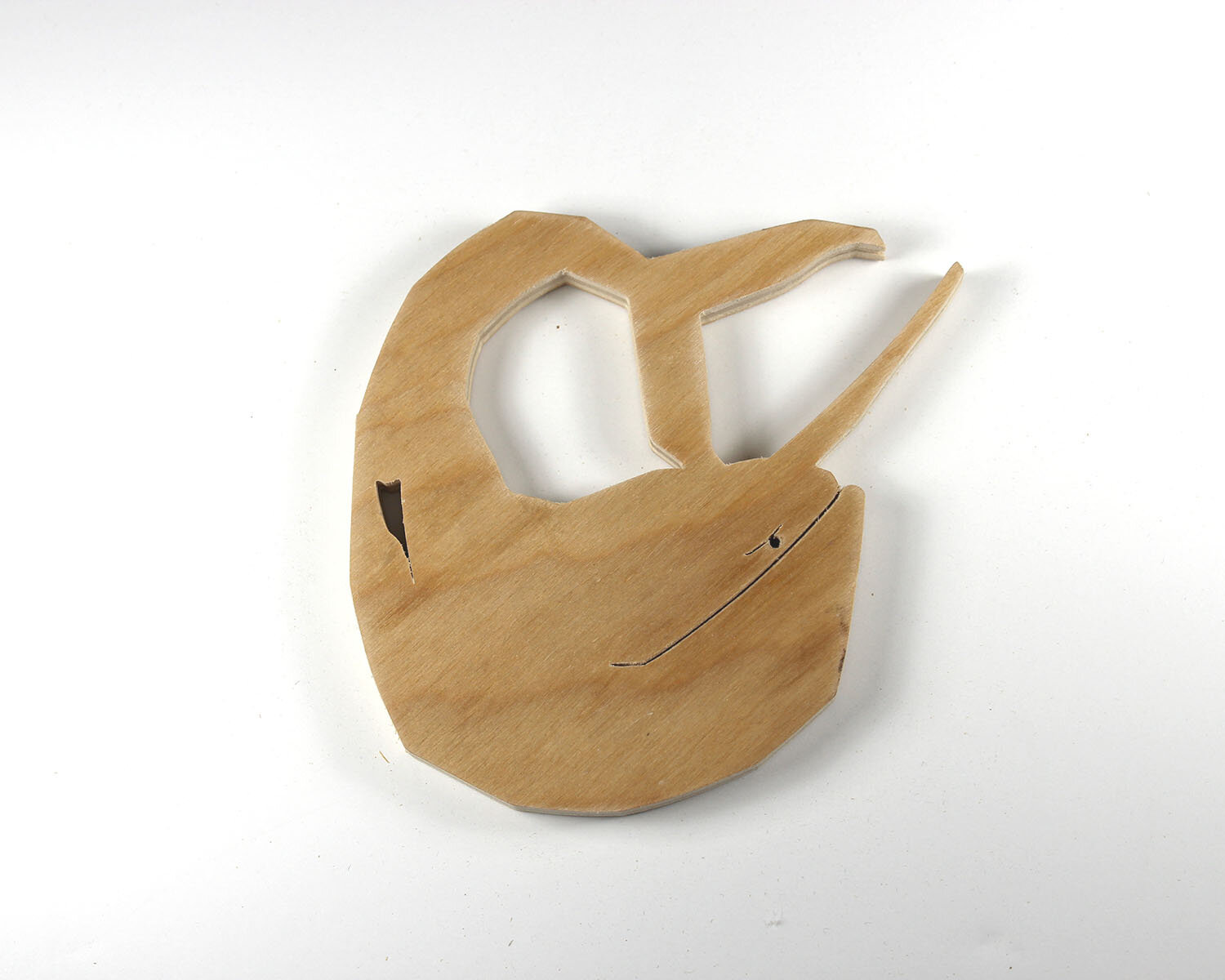 #12 January 12- Narwhal