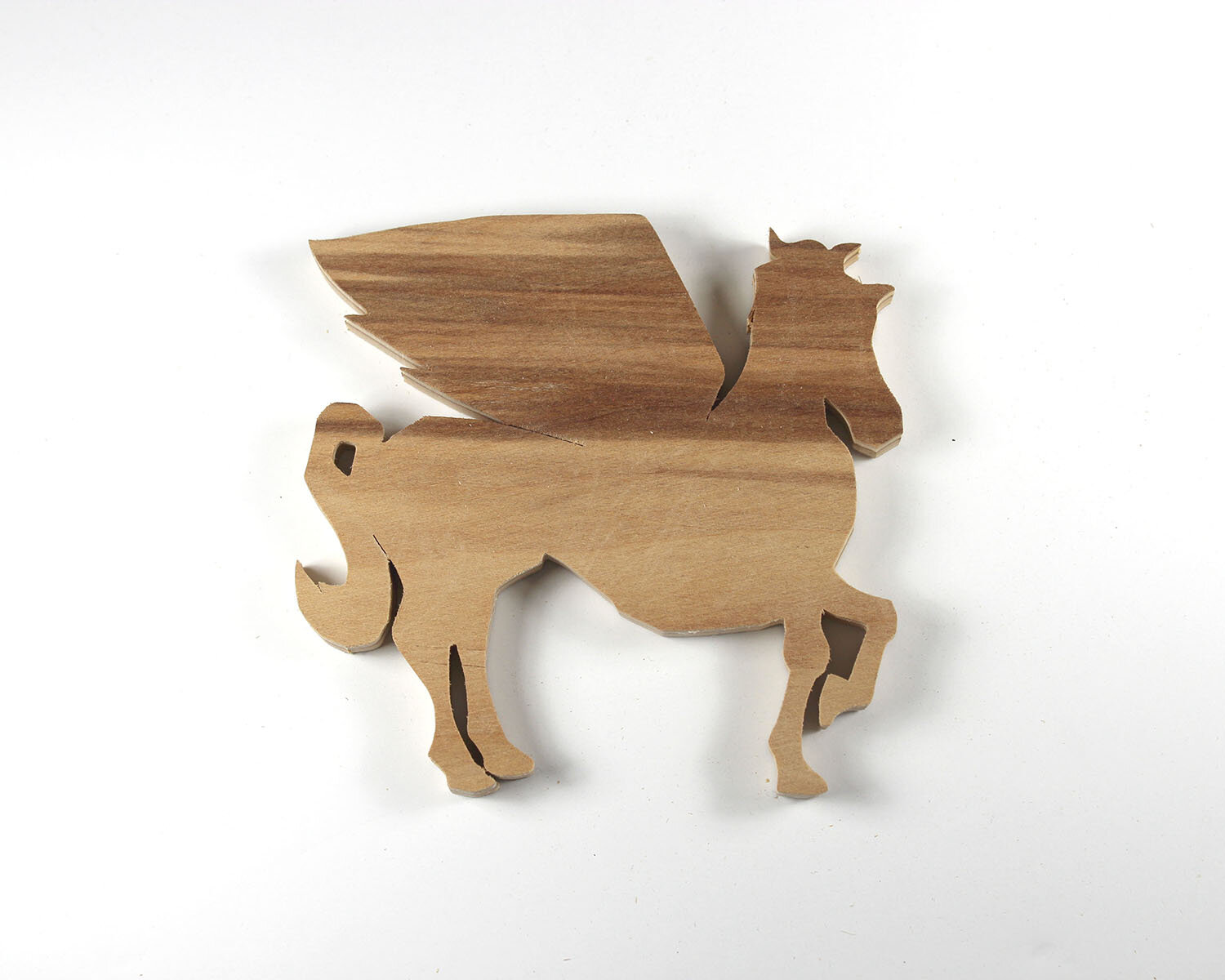 #14 January 14- Pegasus