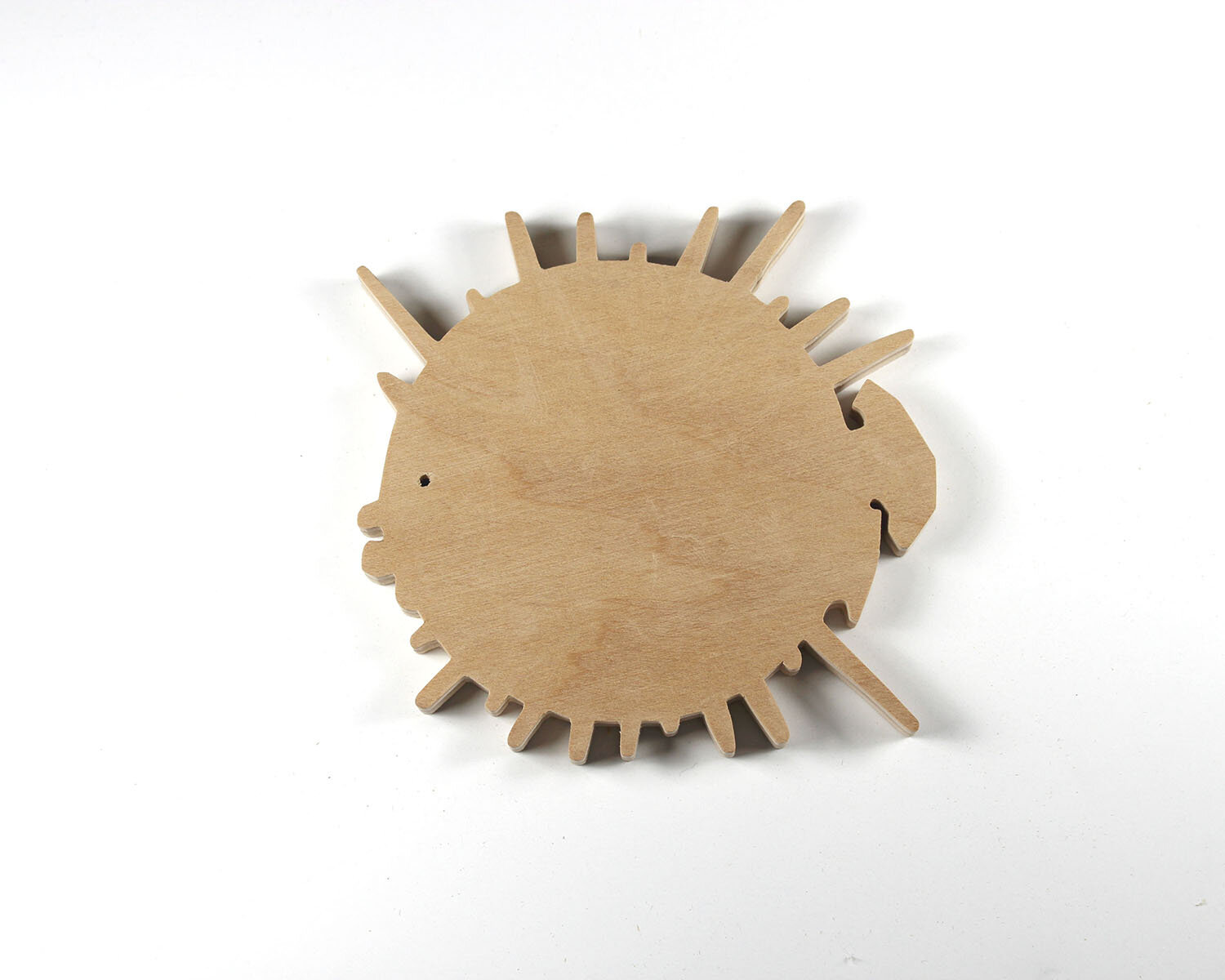 #15 January 15- Puffer Fish