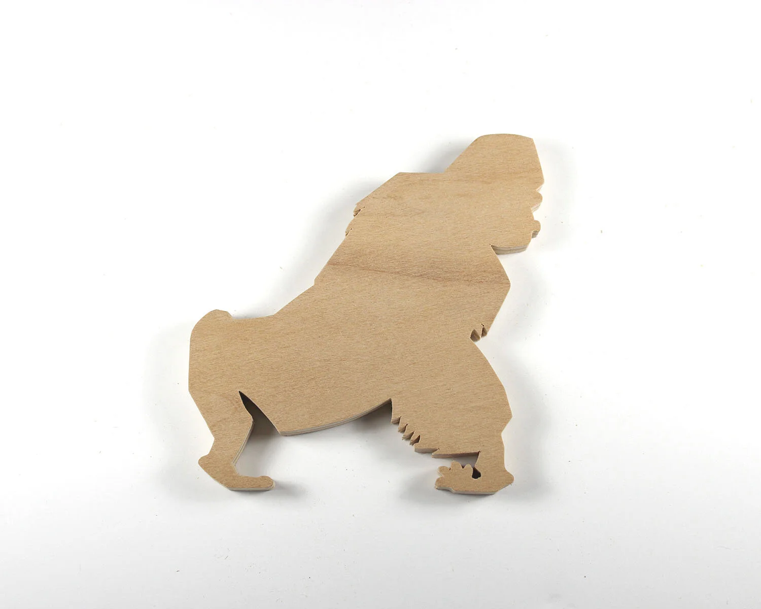 16 January 16 Gorilla.JPG