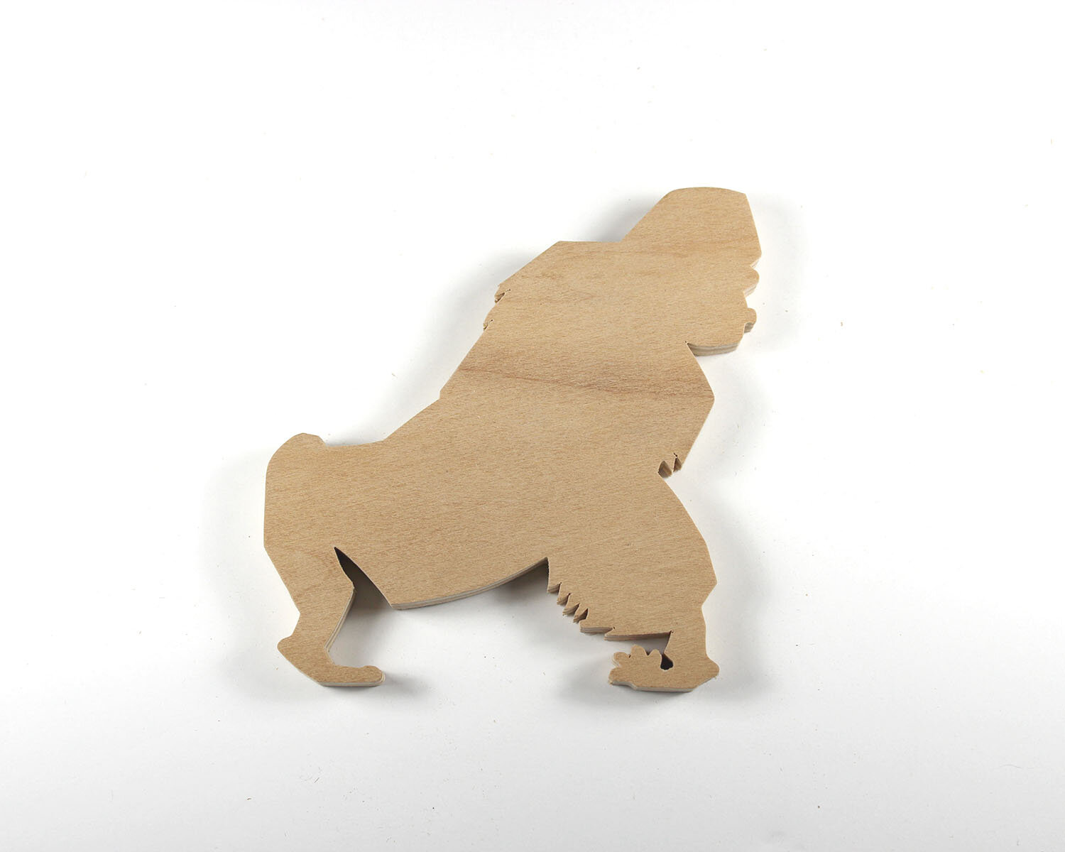 #16 January 16- Gorilla