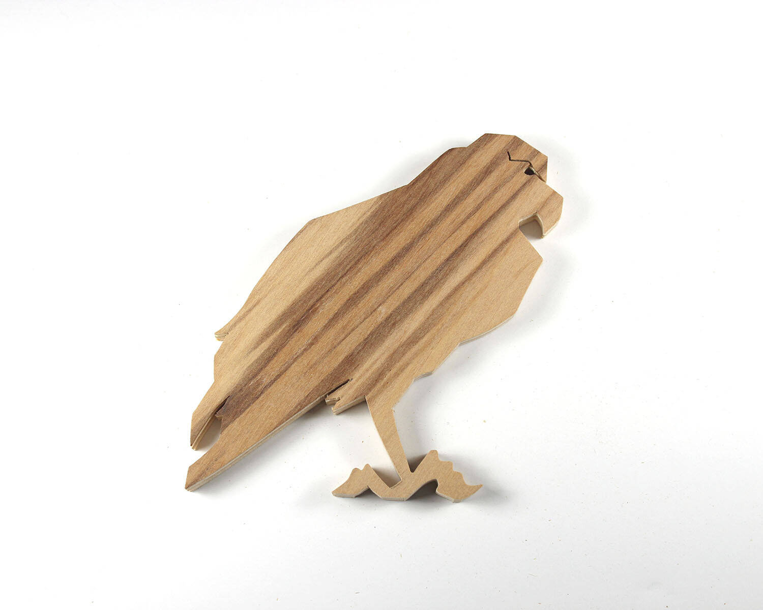 #17 January 17- Seahawk