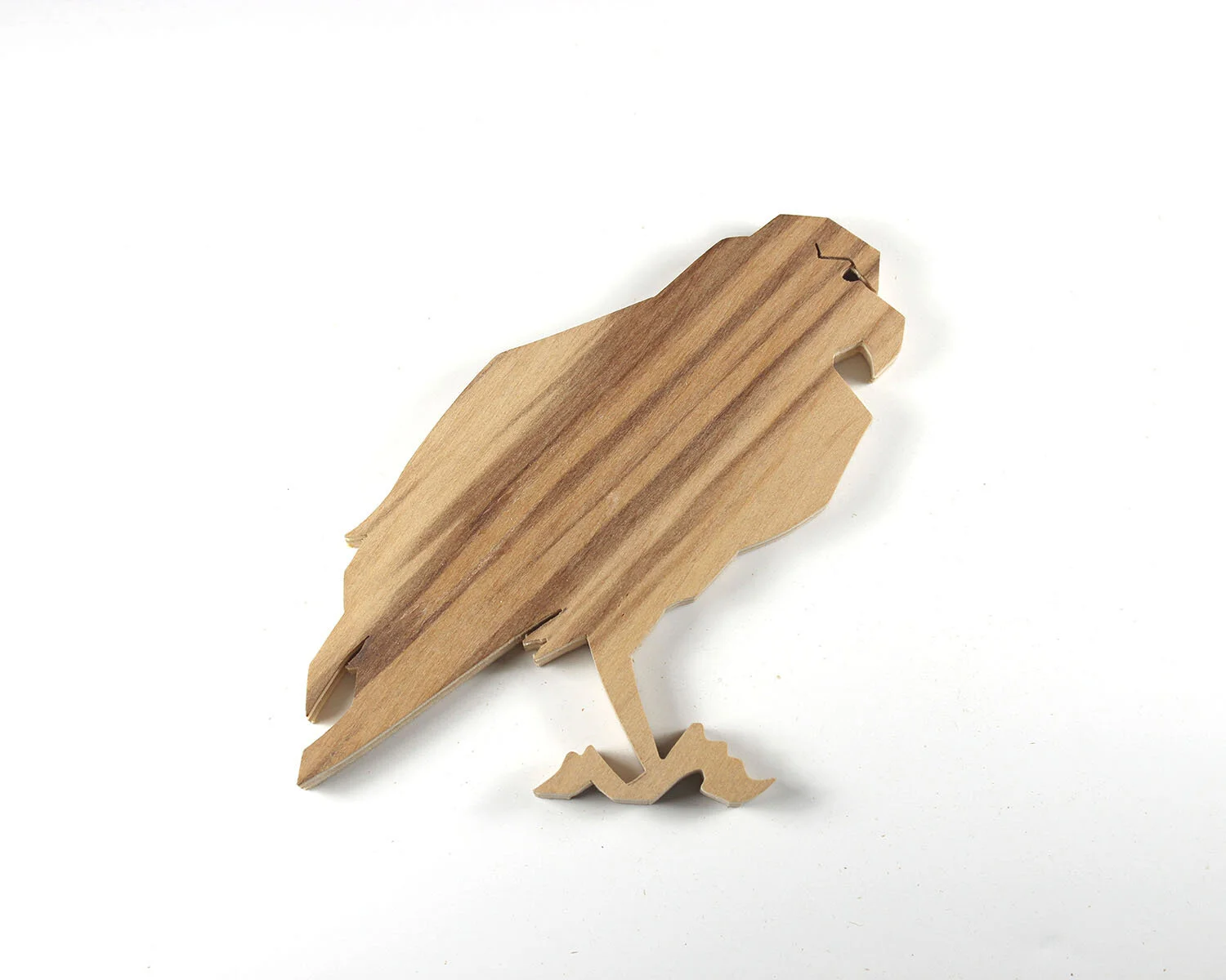 17 January 17 Seahawk.JPG