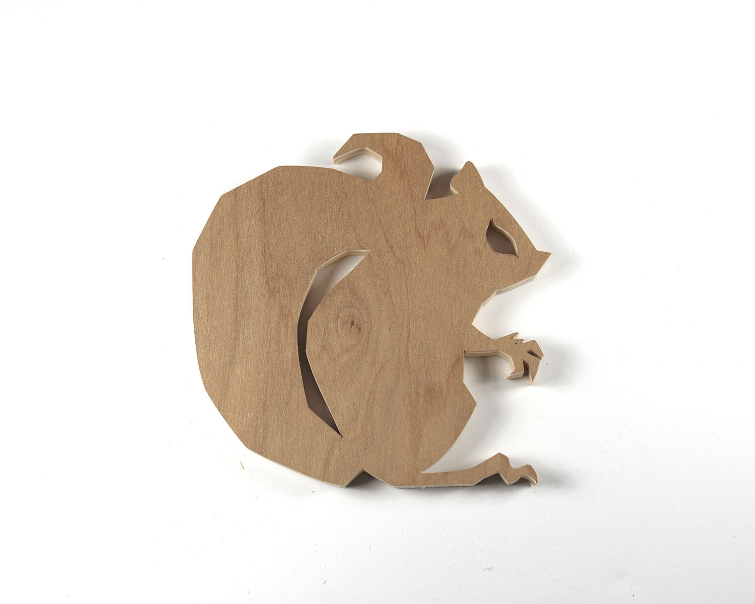 #20 January 20- Squirrel