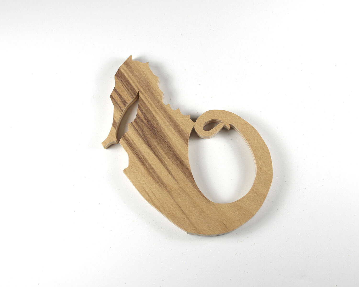 #21 January 21- Seahorse