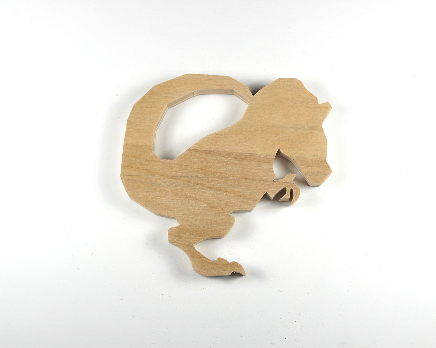 #22 January 22- Allosaurus