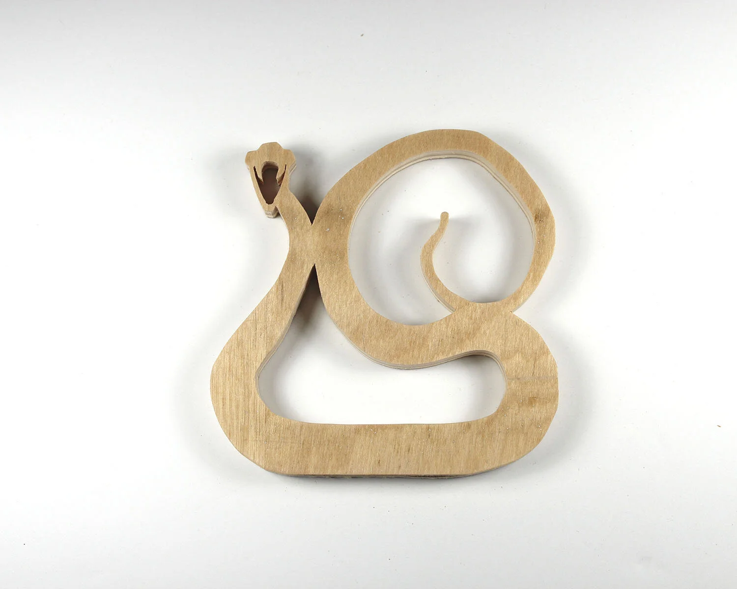 23 January 23 Snake.JPG