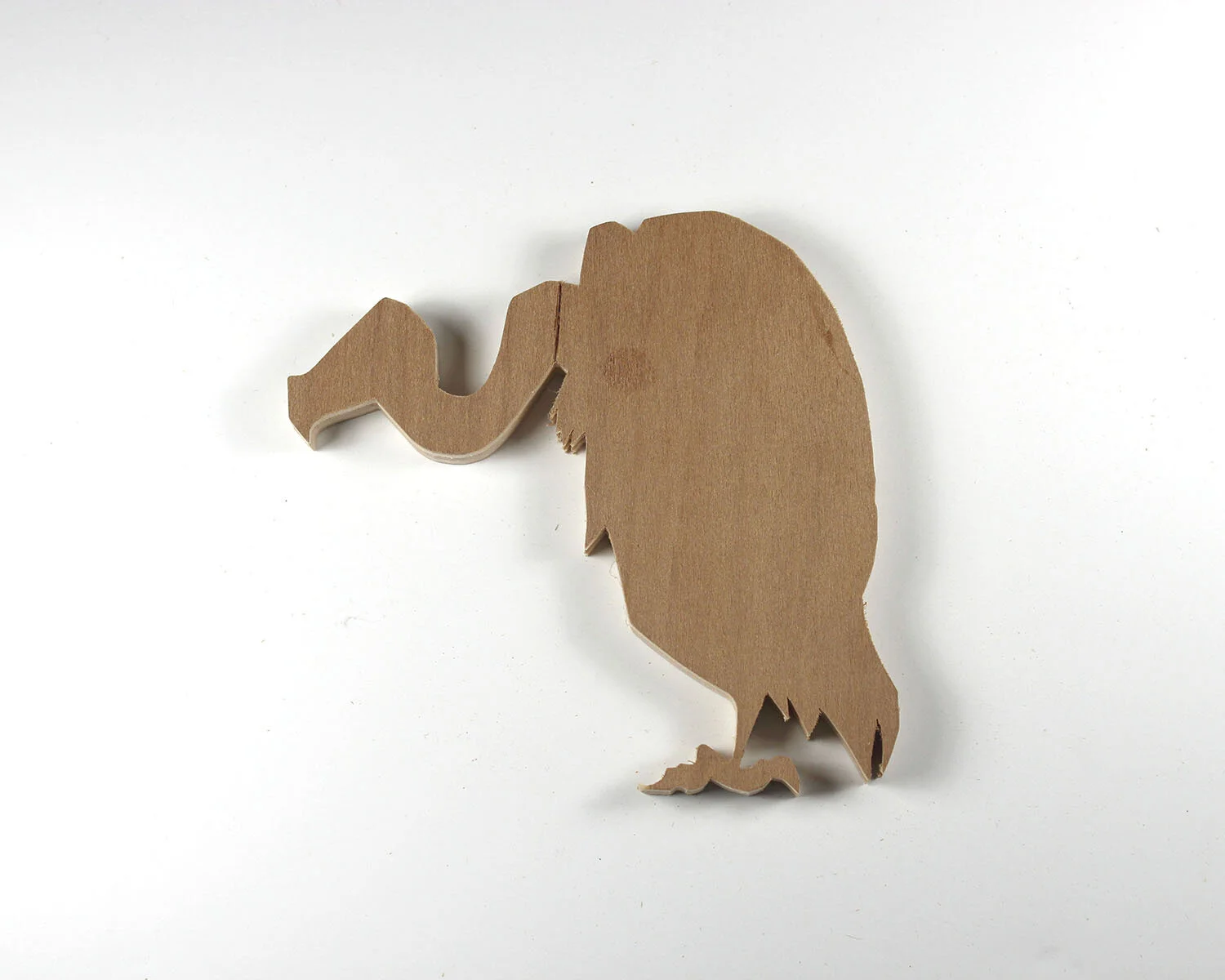 24 January 24 Vulture.JPG