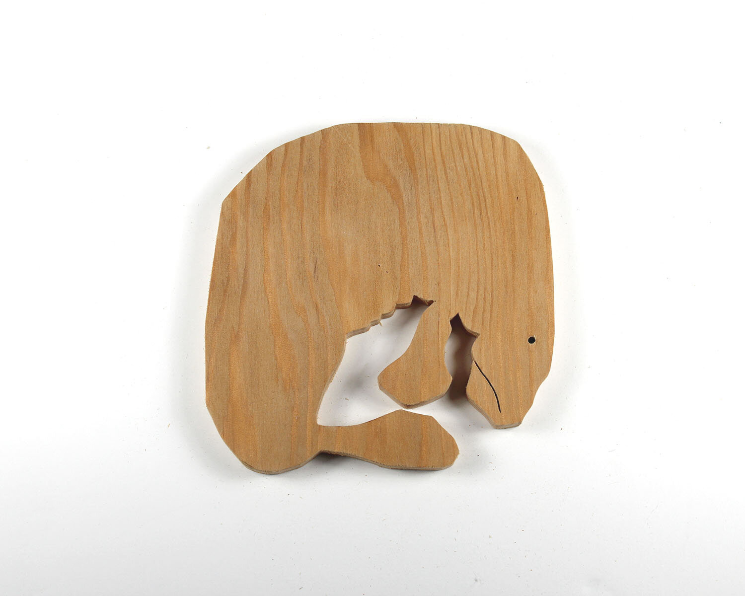 #25 January 25- Manatee