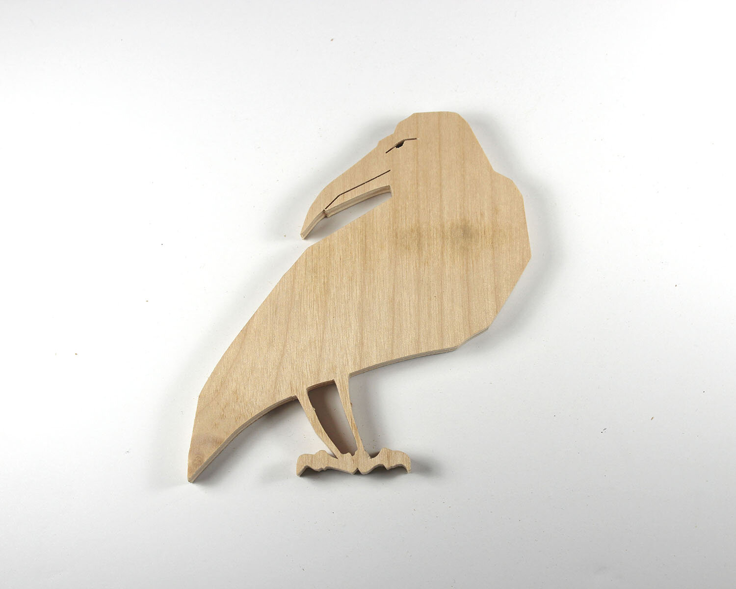 #26 January 26- Raven