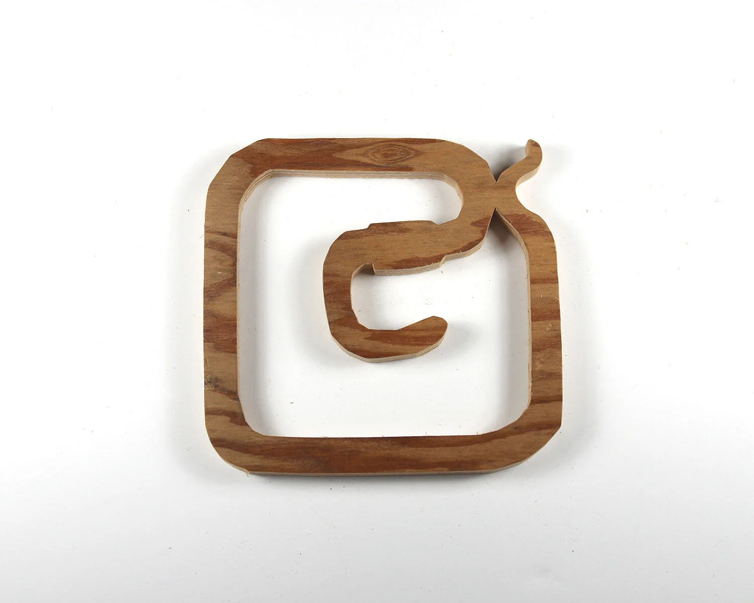 27 January 27 Earthworm.JPG