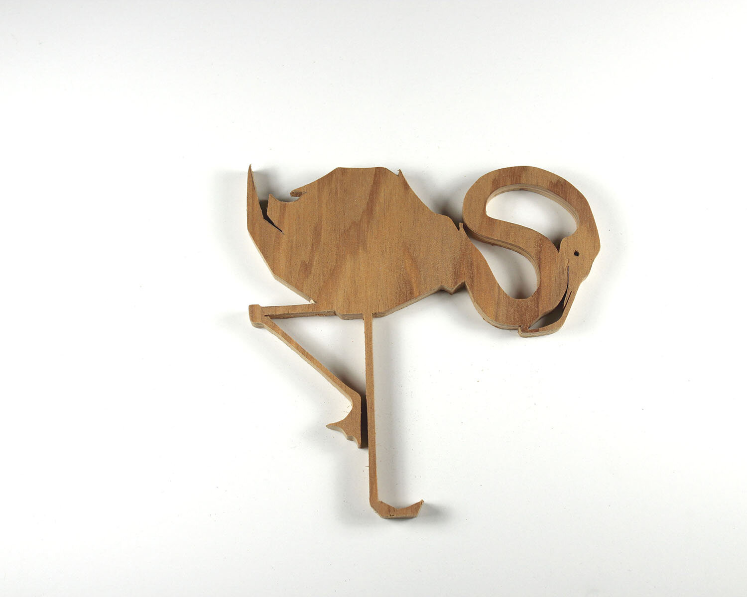 #29 January 29- Flamingo