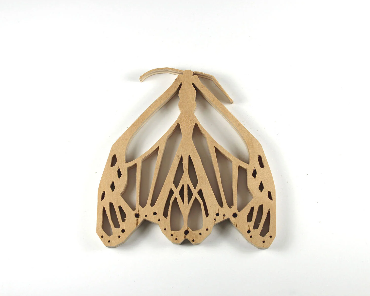 30 January 30 Butterfly.JPG