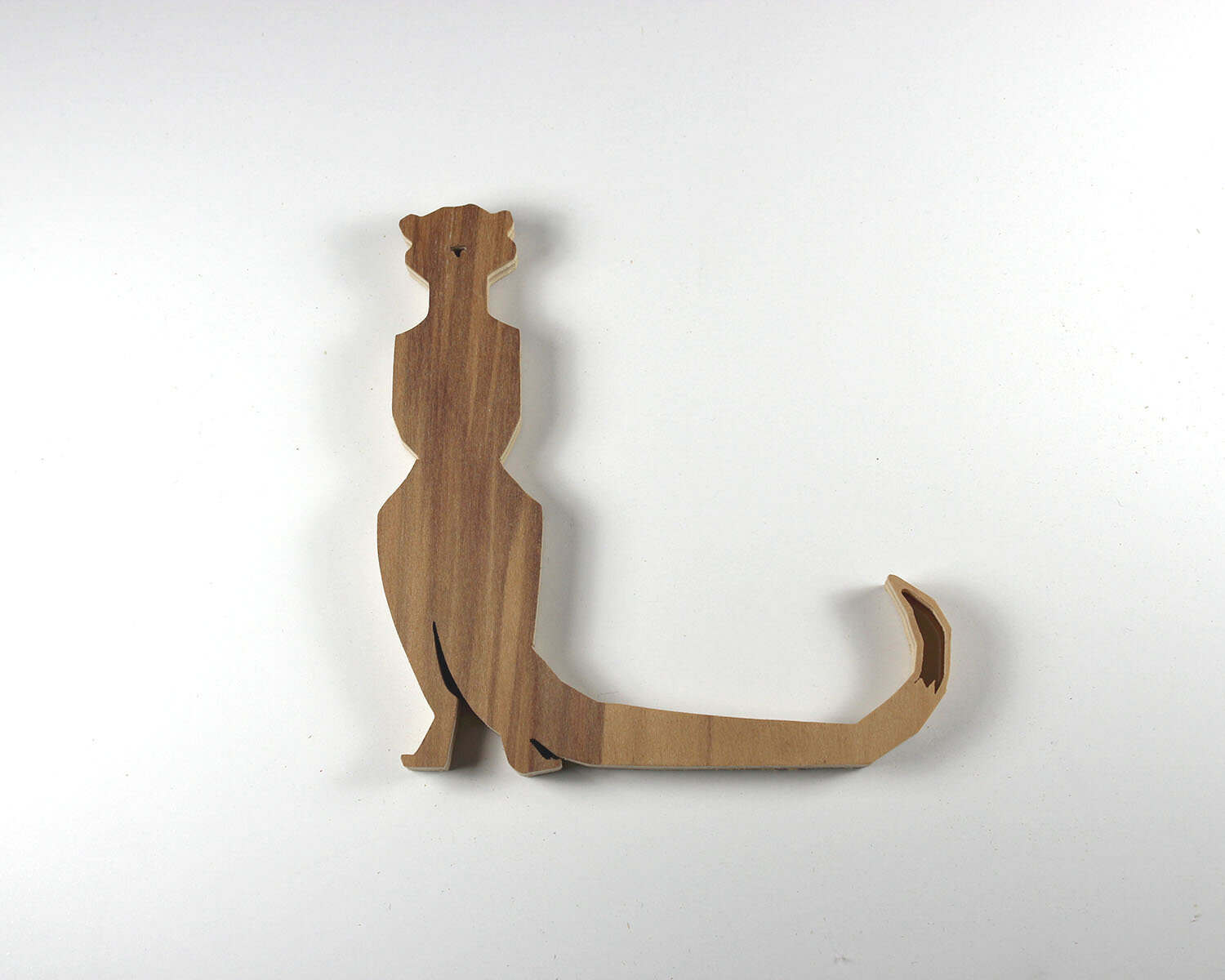 #35 February 4- Meerkat