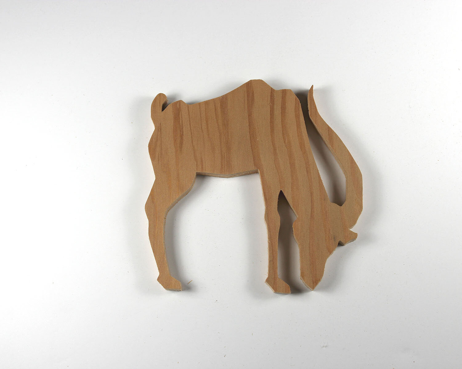 #38 February 7- Gazelle