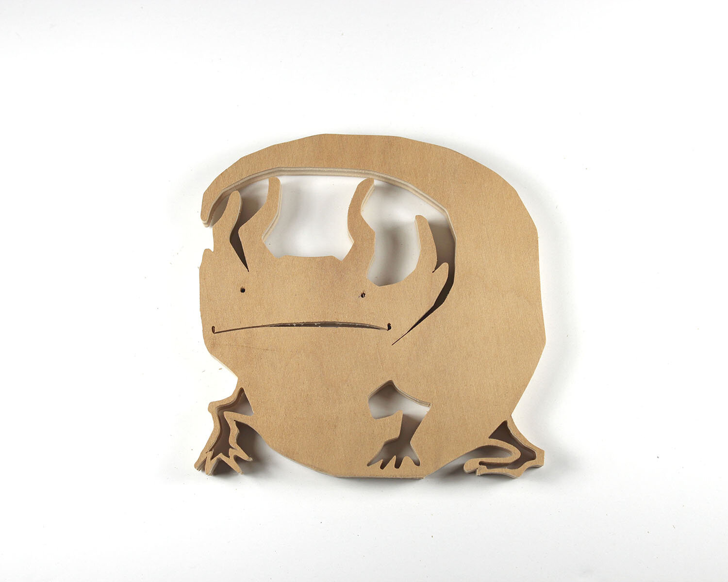 #39 February 8- Mexican Neotonic Mole Salamander