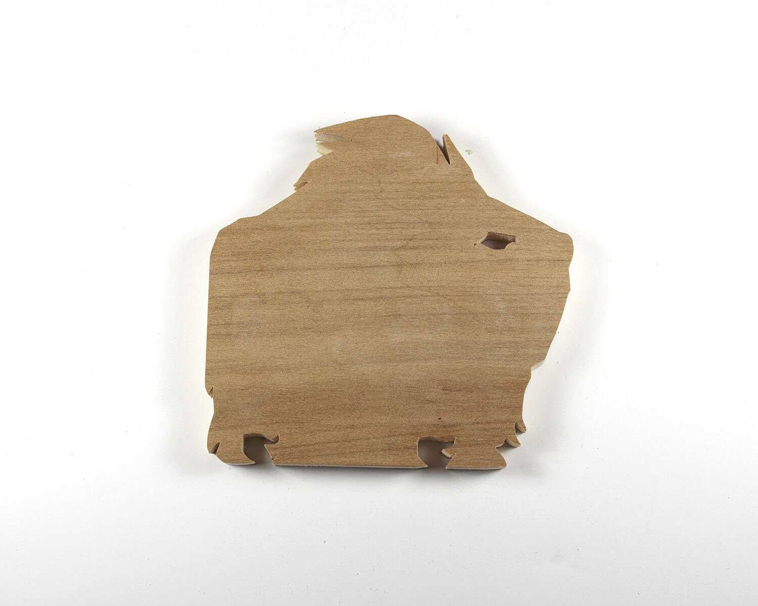 #46 February 15- Guinea Pig