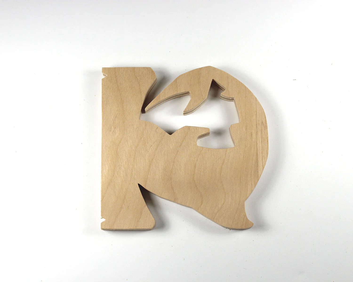 47 Hammerhead Shark.JPG