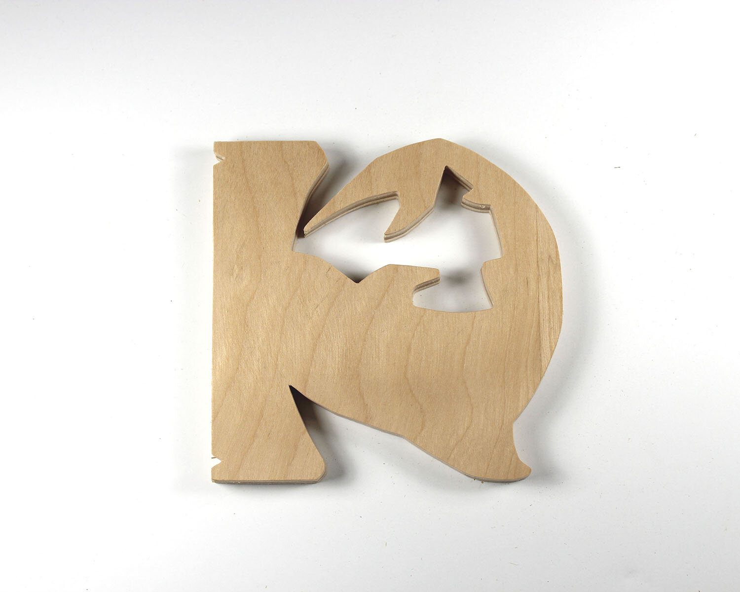 #47 February 16- Hammerhead Shark