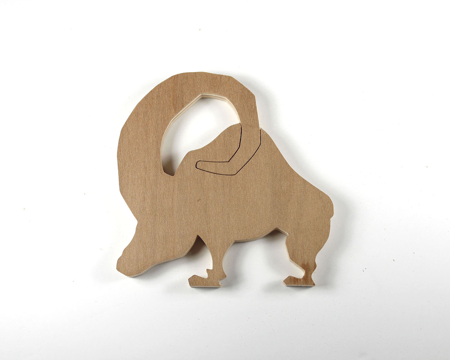 #49 February 18- Ram