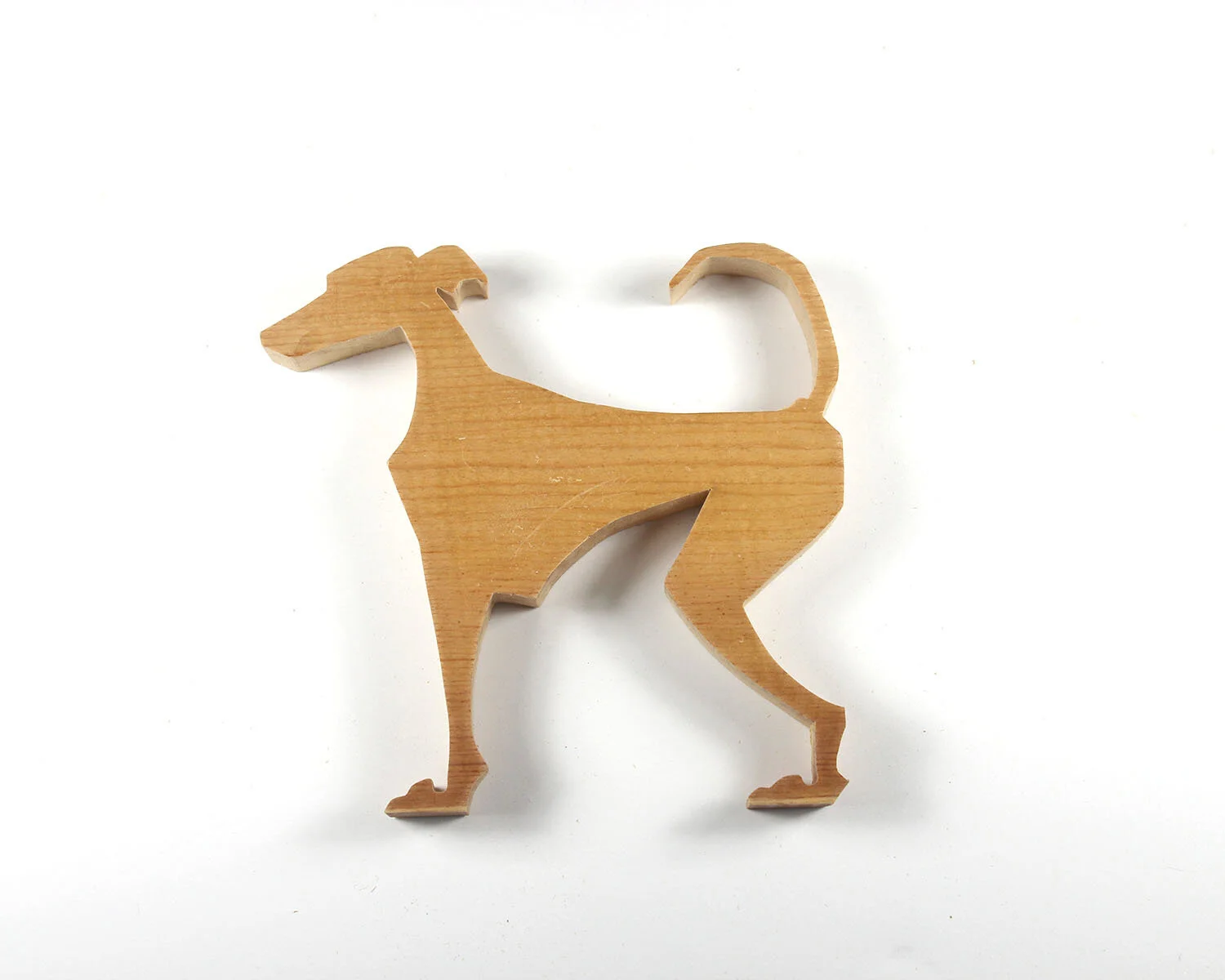 50 Greyhound.JPG