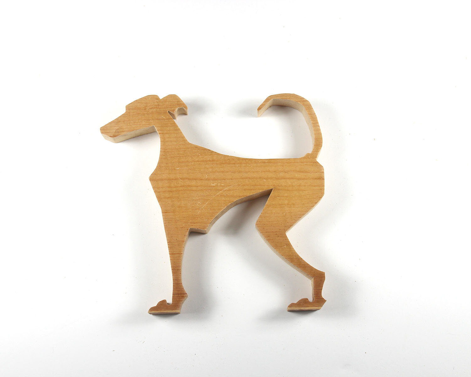 #50 February 19- Greyhound