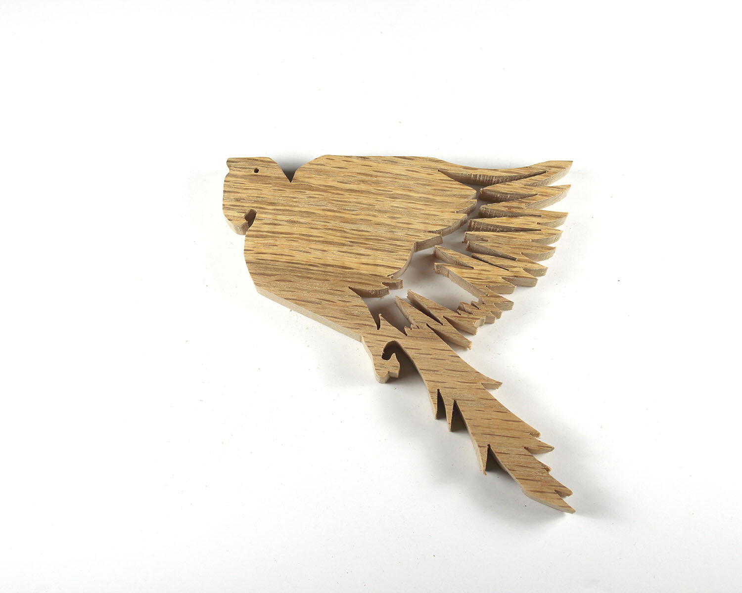 #52 February 21- Macaw 