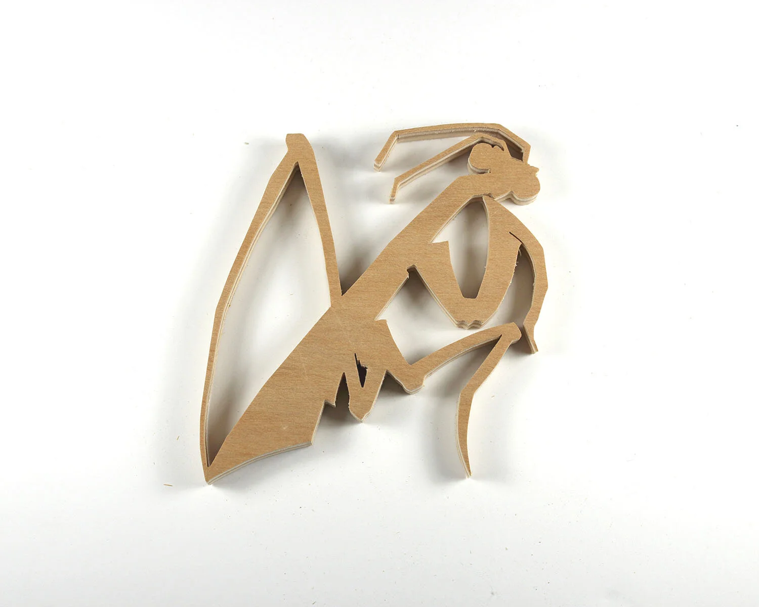 53 Praying Mantis.JPG