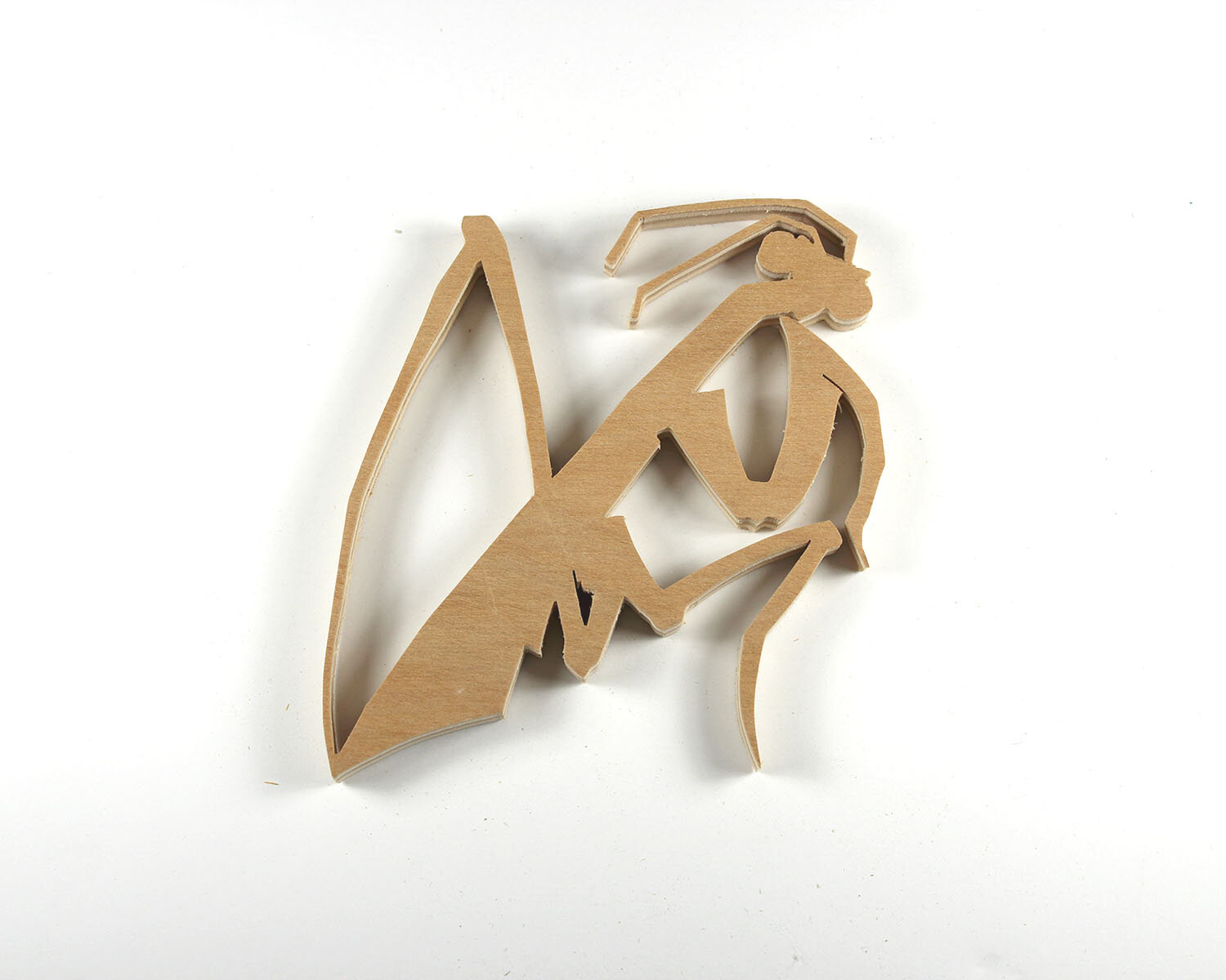 #53 February 22- Praying Mantis