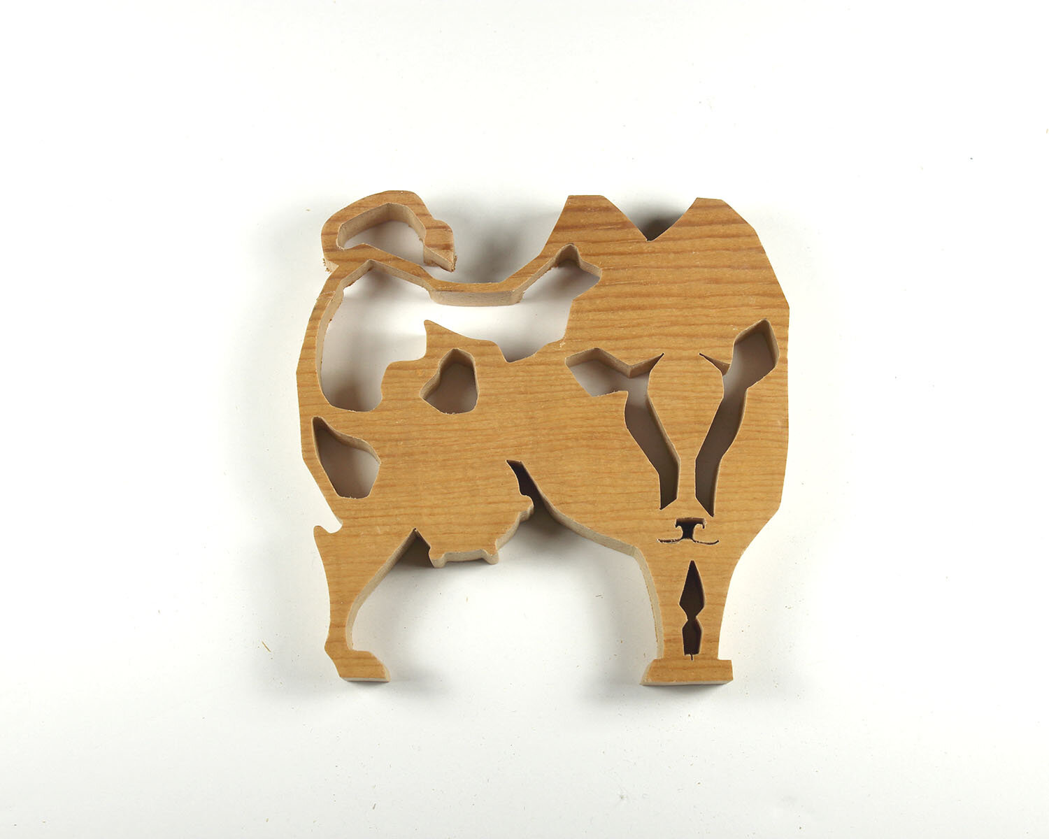 #56 February 25- Cow