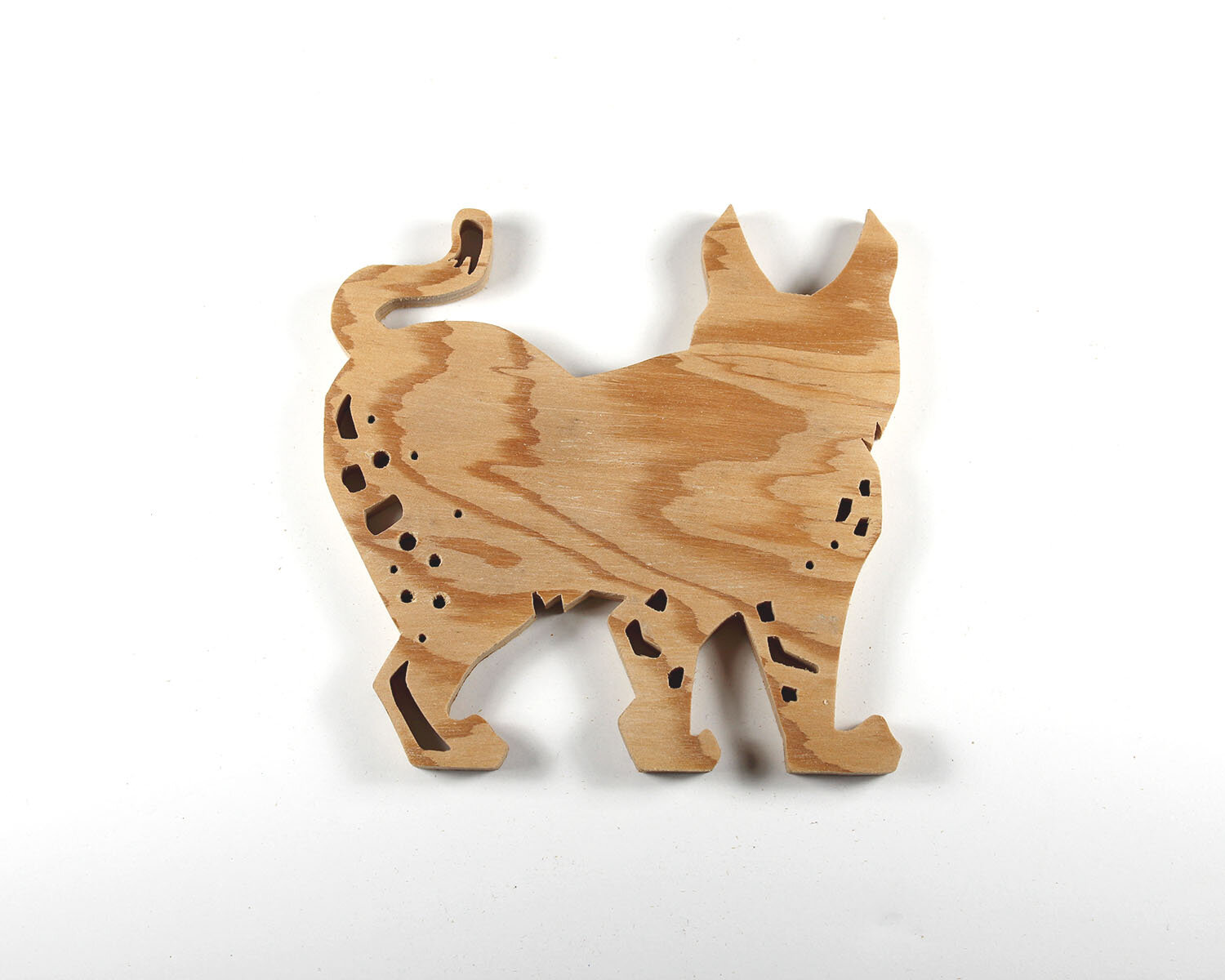 #58 February 27- Bobcat