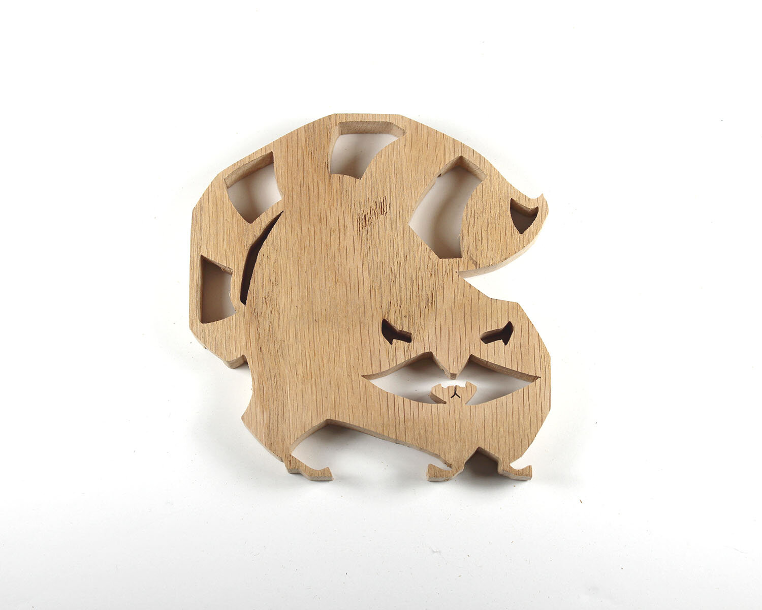 #64 March 5- Raccoon