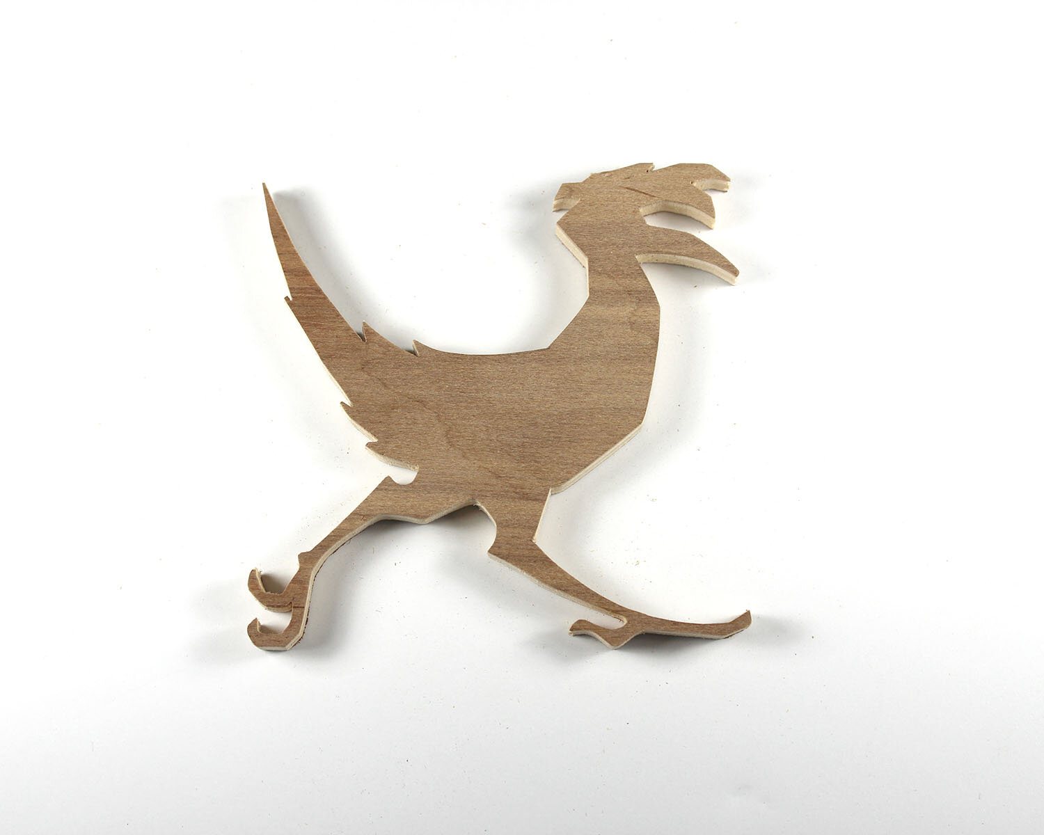 #65 March 6- Roadrunner