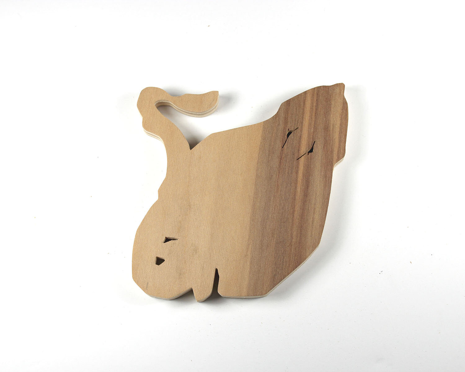 #70 March 11- Shovelnose Guitarfish