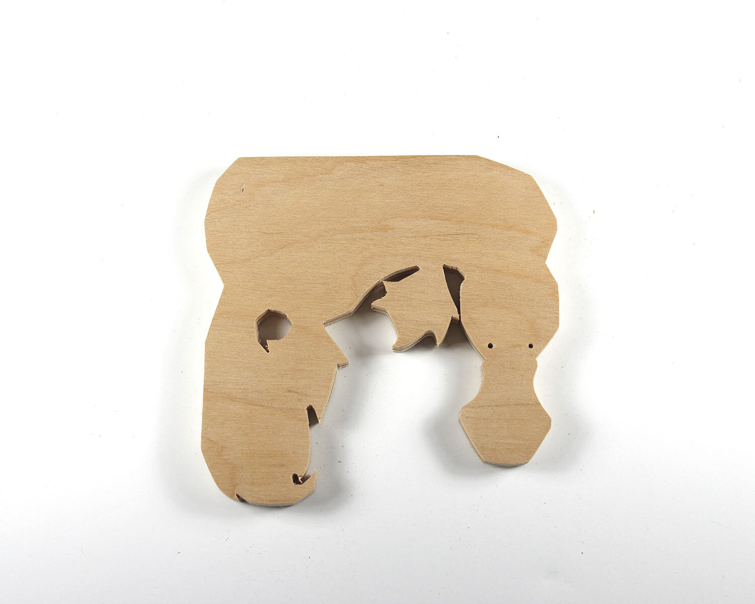 #66 March 7- Duck-Billed Platypus