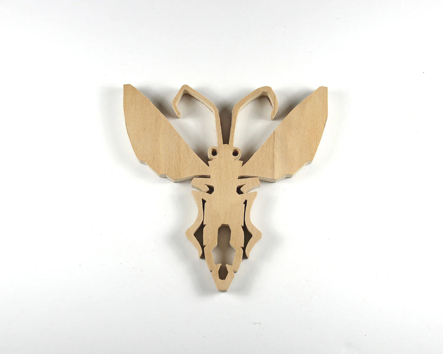 67 Lightning Bug.JPG