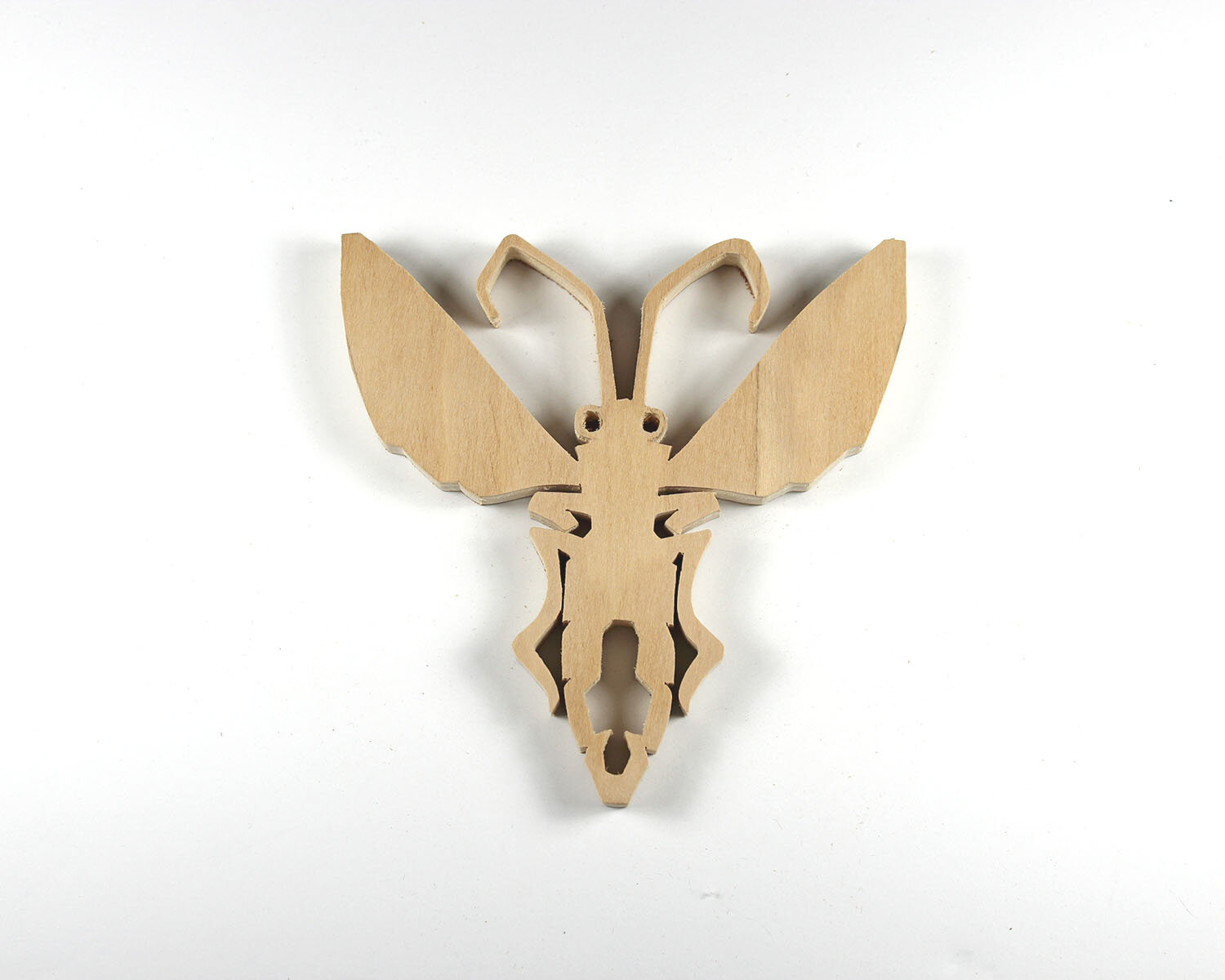 #67 March 8- Lightning Bug